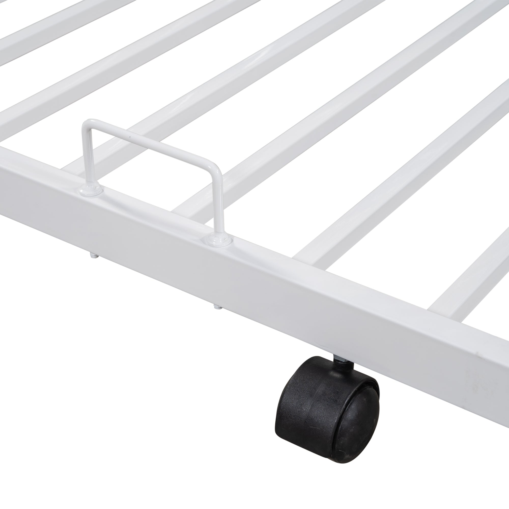 22894669