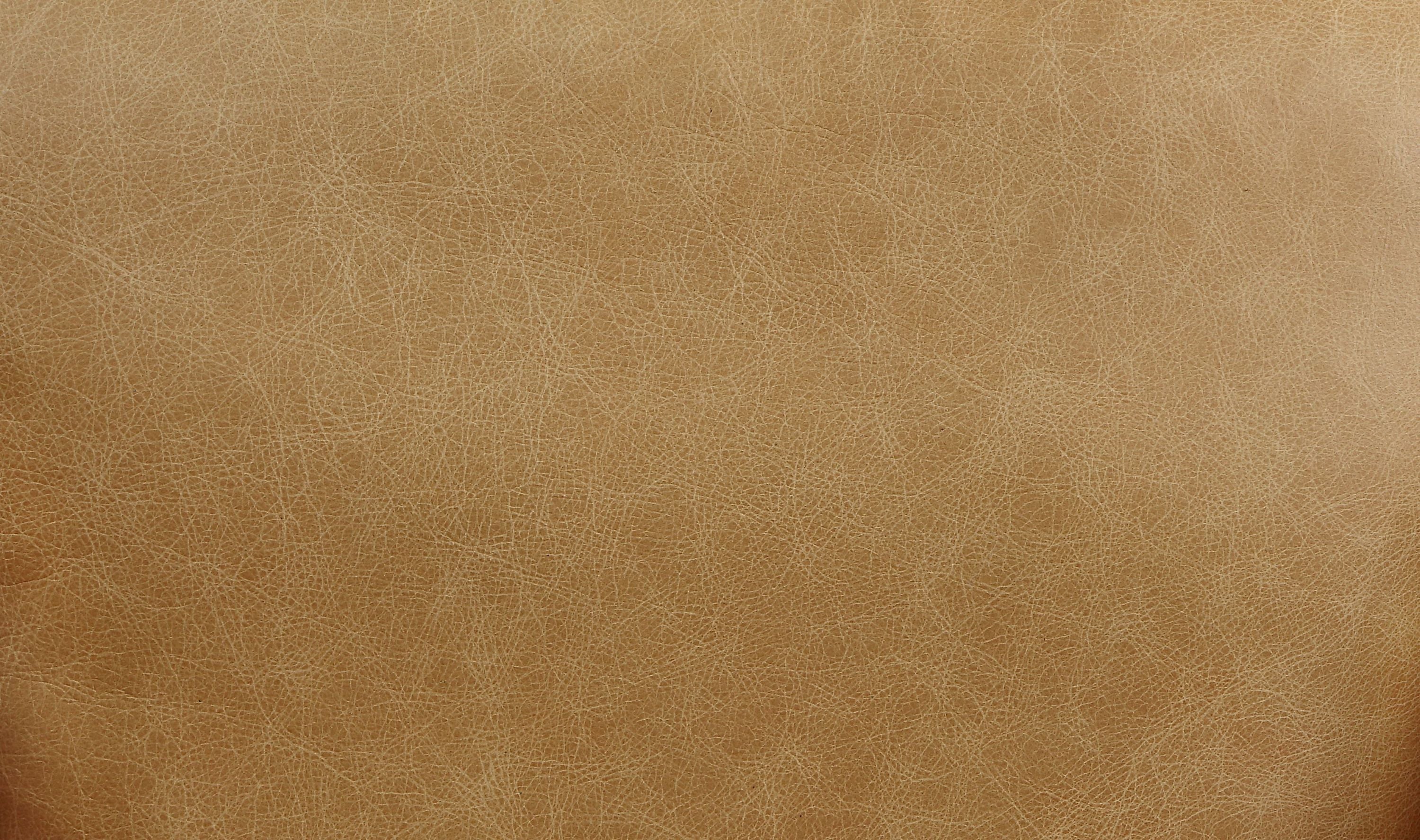 22924497