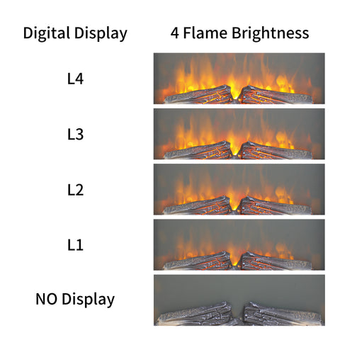 22923119