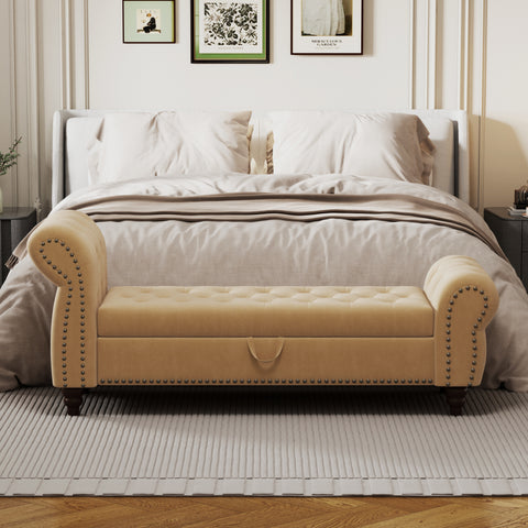 22919926